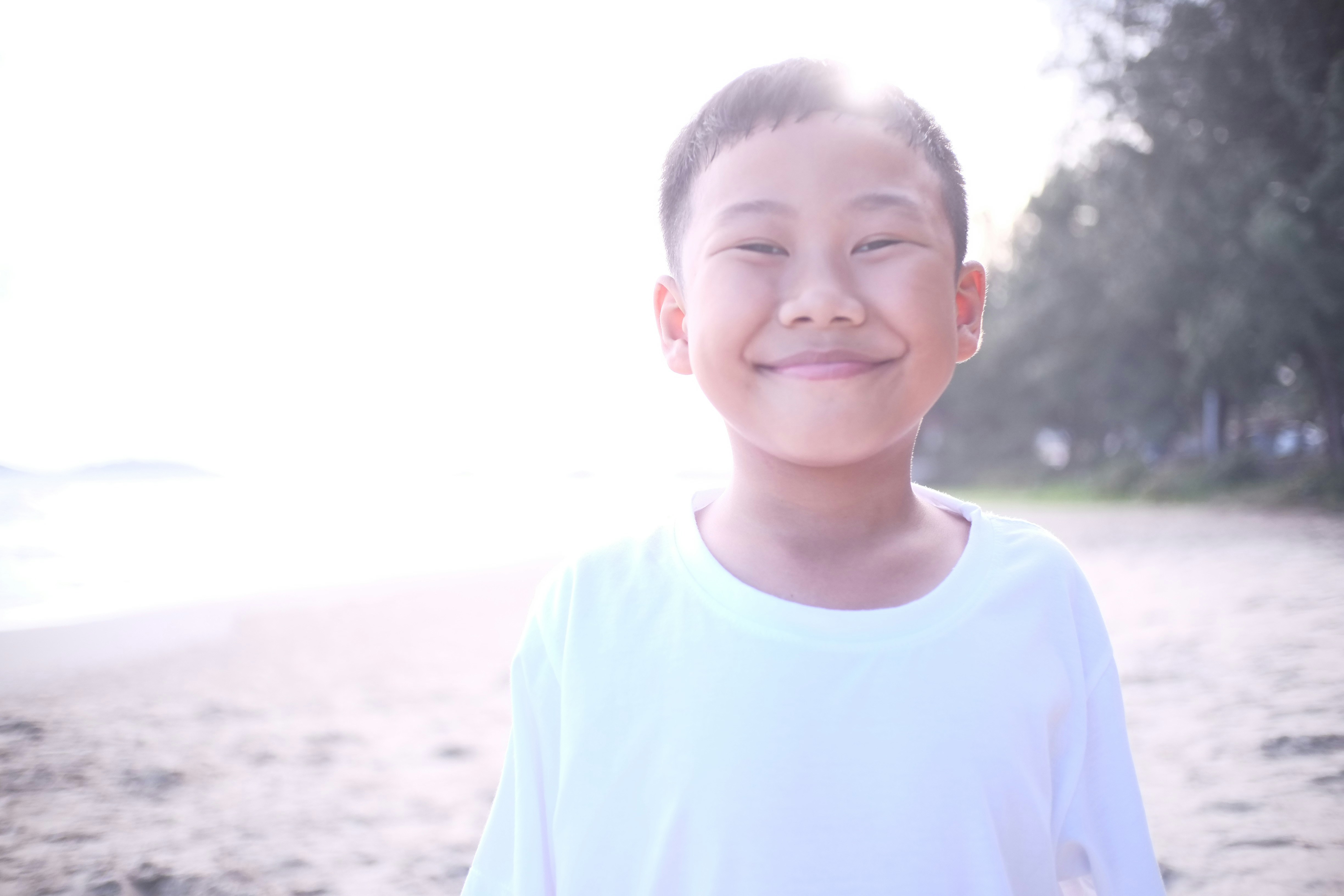 创作者头像：糖心工作室