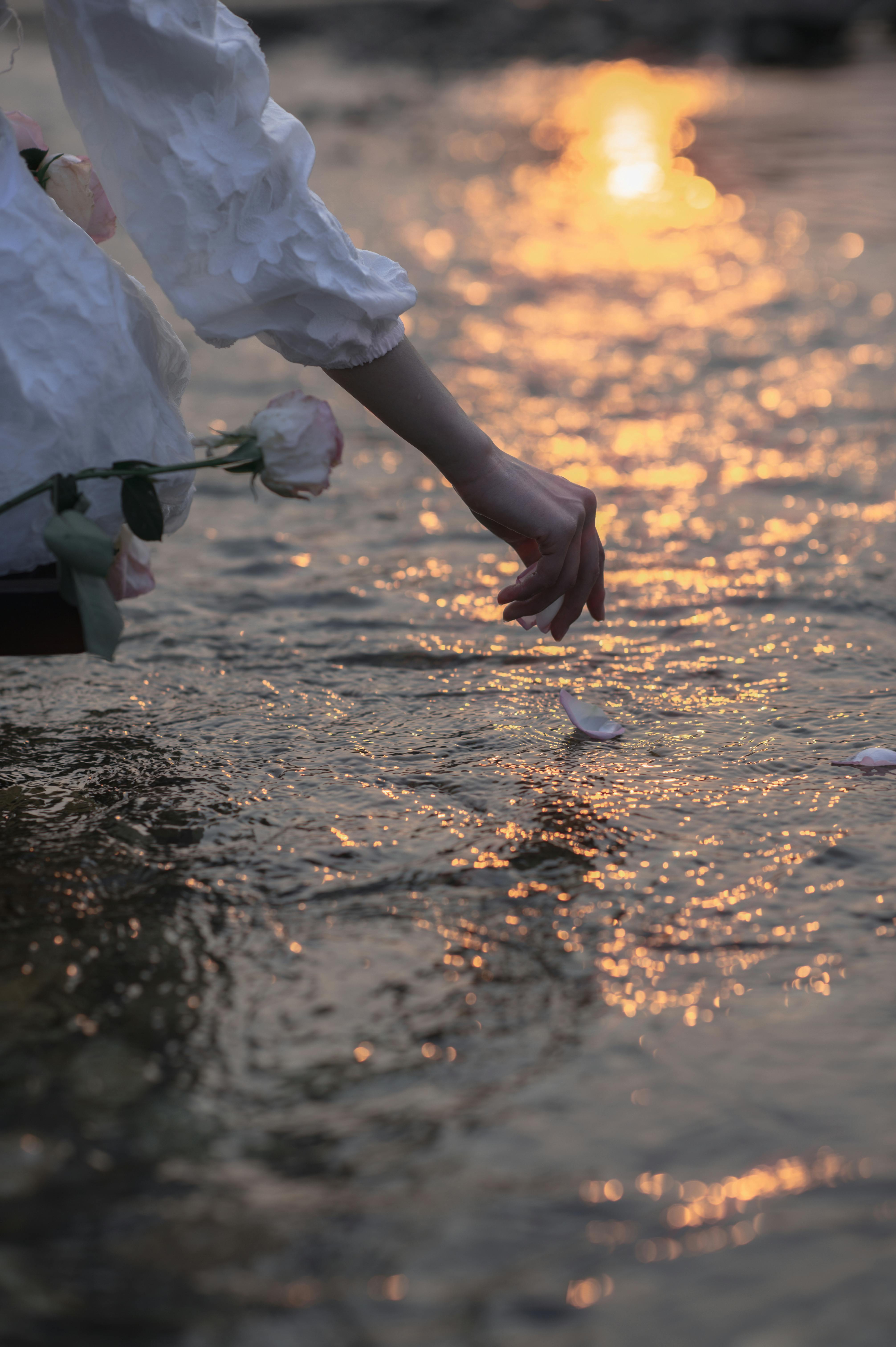 Chuot Anhls 参赛者照片