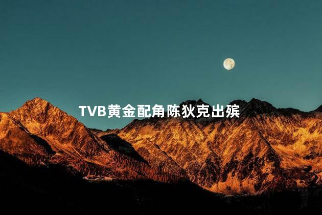 TVB黄金配角陈狄克出殡