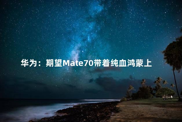 华为：期望Mate70带着纯血鸿蒙上市