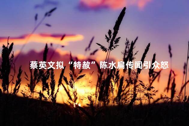 蔡英文拟“特赦”陈水扁传闻引众怒